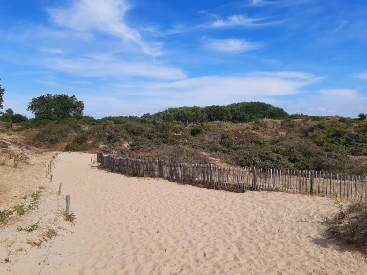 Lilafee De Panne